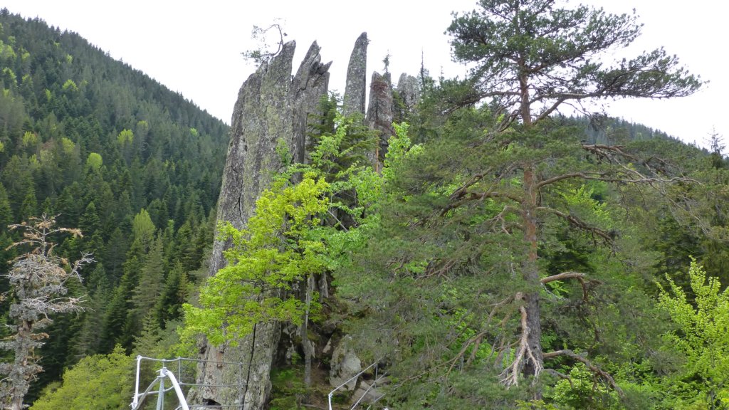 http://www.tonyco.net/pictures/Canyon_Waterfalls_Smolyan_16_05_2015/photo130.jpg