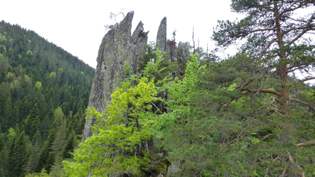 http://www.tonyco.net/pictures/Canyon_Waterfalls_Smolyan_16_05_2015/photo131.jpg