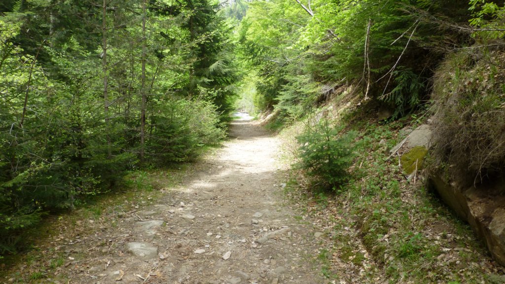 http://www.tonyco.net/pictures/Canyon_Waterfalls_Smolyan_16_05_2015/photo19.jpg