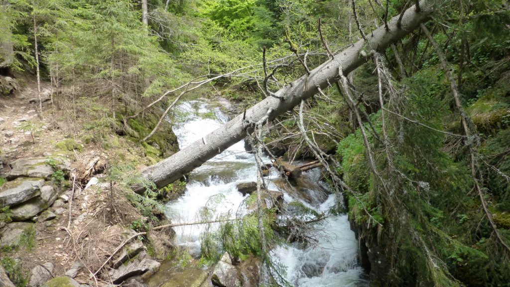 http://www.tonyco.net/pictures/Canyon_Waterfalls_Smolyan_16_05_2015/photo23.jpg