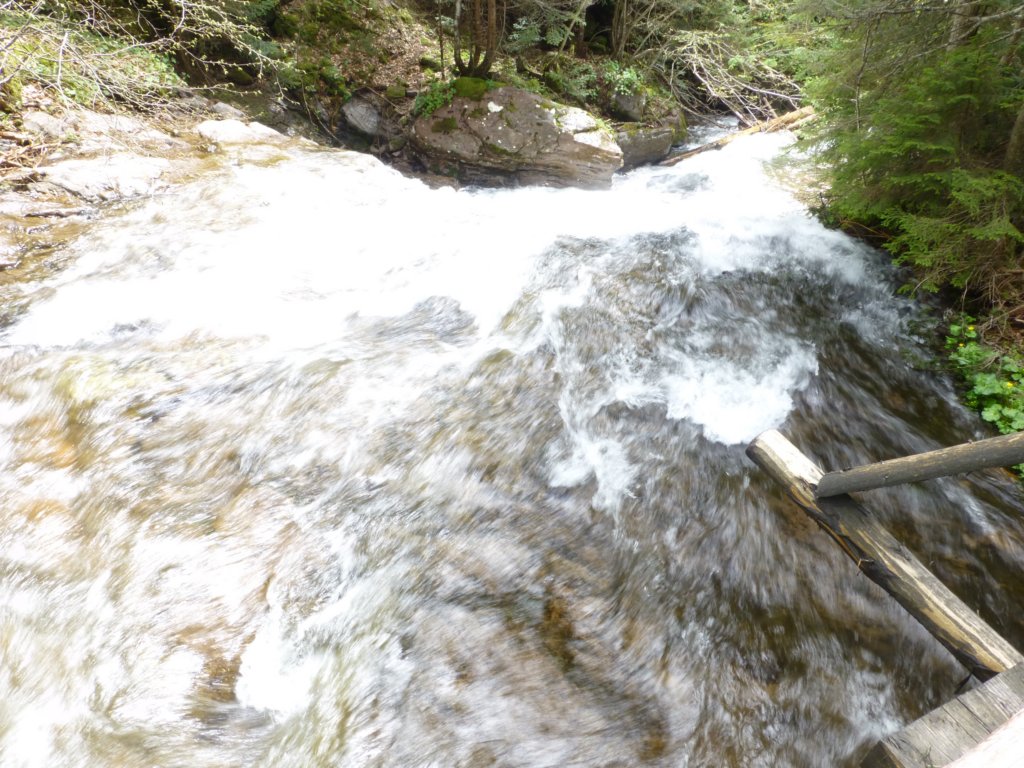 http://www.tonyco.net/pictures/Canyon_Waterfalls_Smolyan_16_05_2015/photo27.jpg