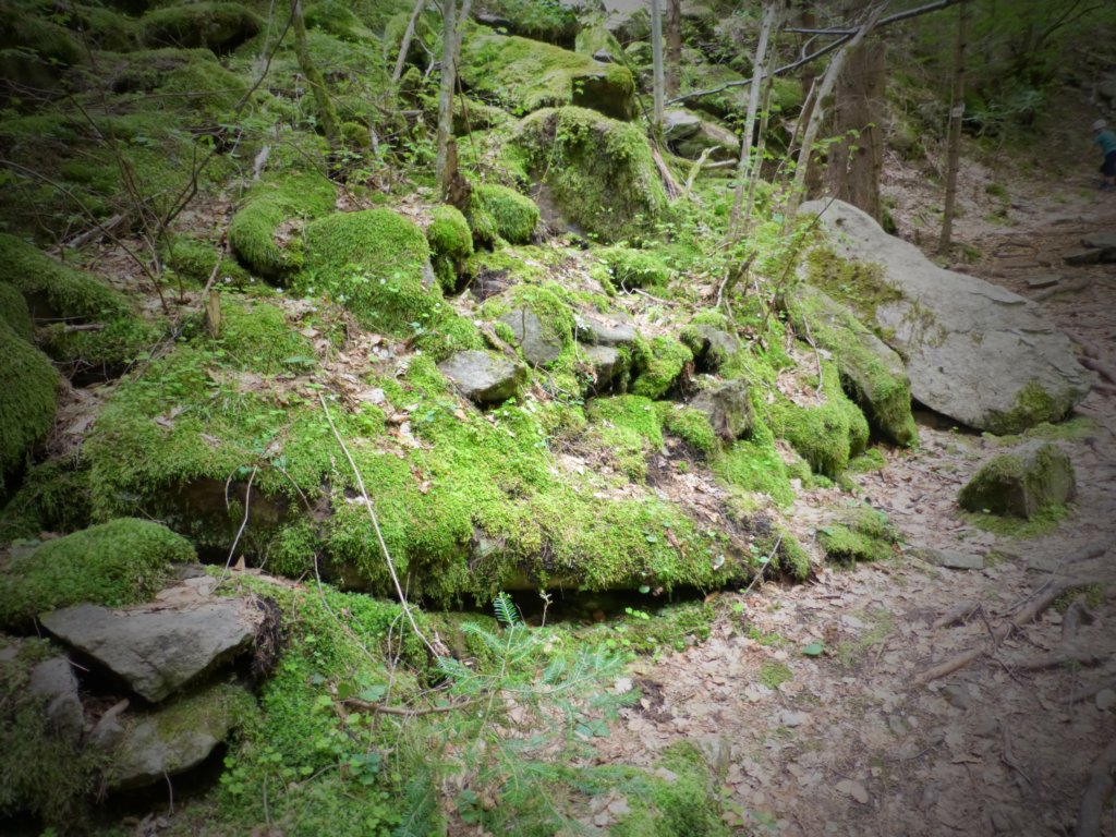 http://www.tonyco.net/pictures/Canyon_Waterfalls_Smolyan_16_05_2015/photo32.jpg