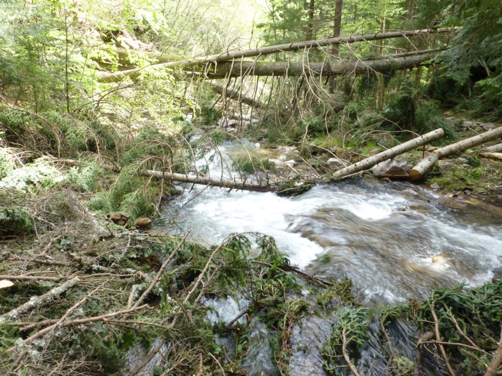 http://www.tonyco.net/pictures/Canyon_Waterfalls_Smolyan_16_05_2015/photo39.jpg