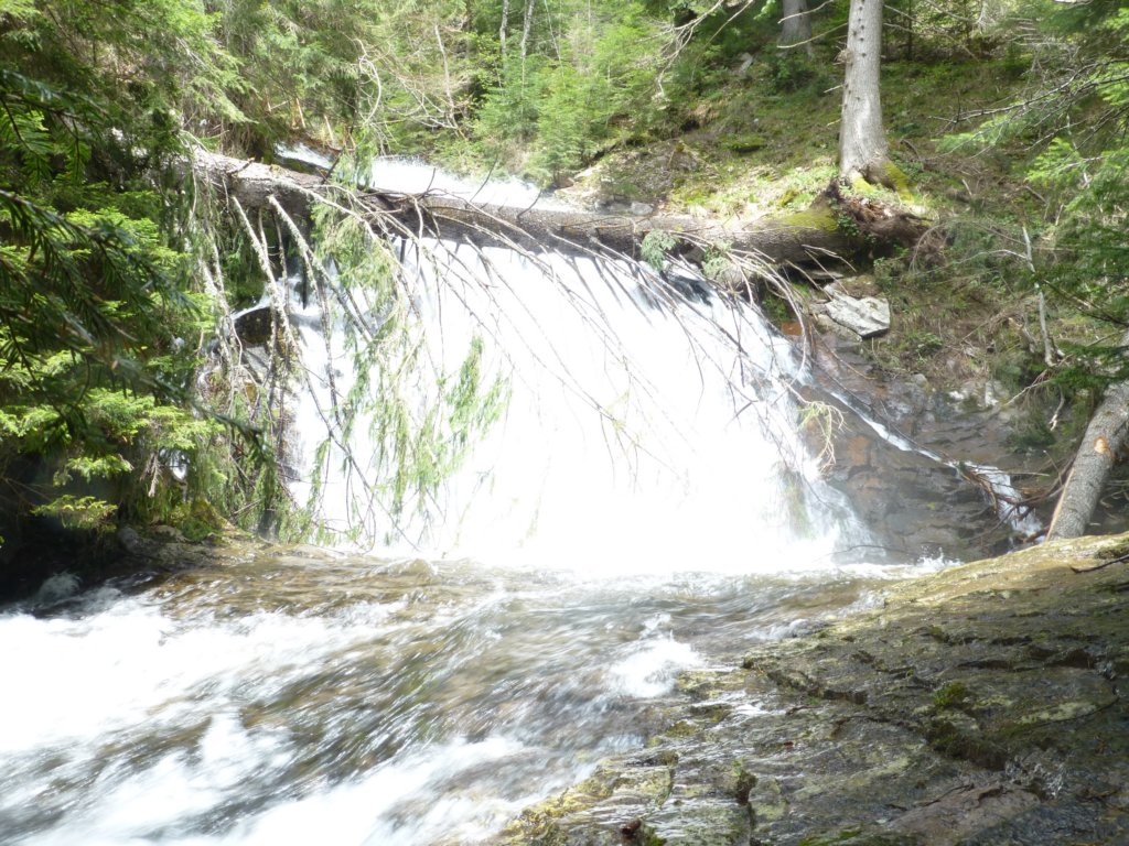 http://www.tonyco.net/pictures/Canyon_Waterfalls_Smolyan_16_05_2015/photo50.jpg