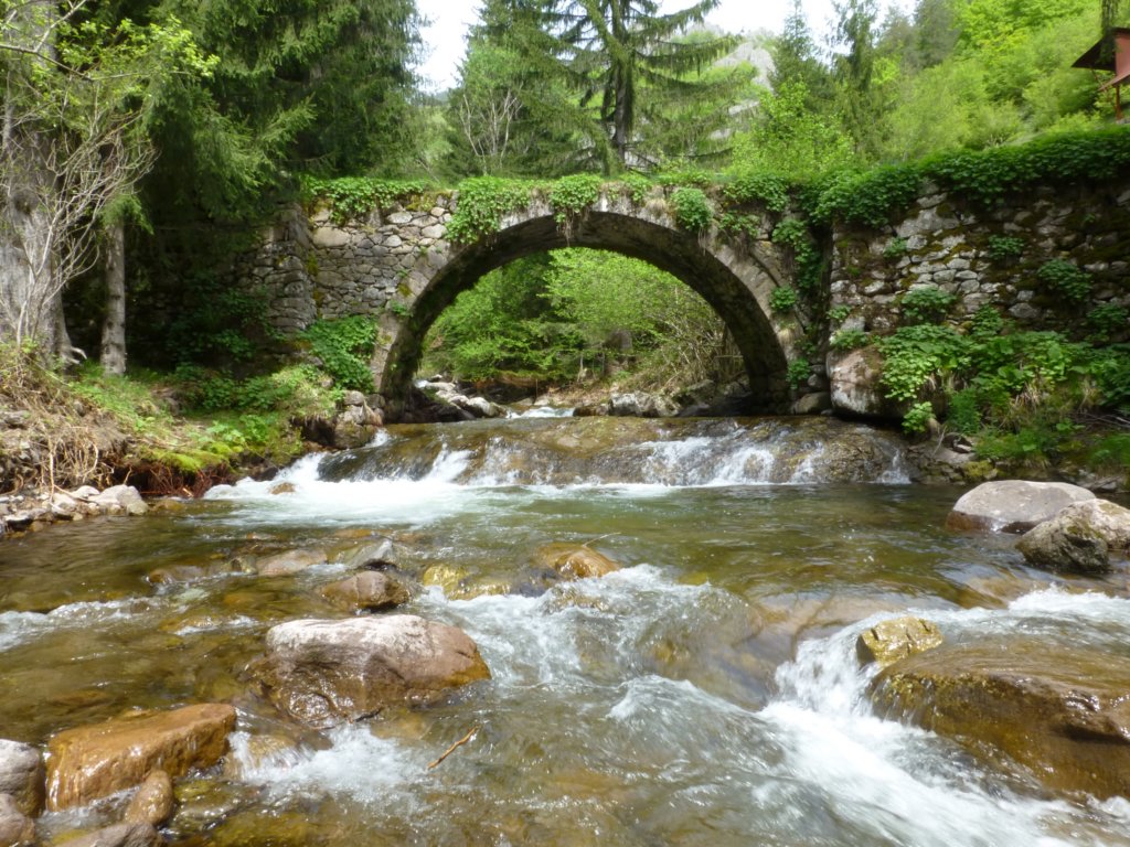 http://www.tonyco.net/pictures/Canyon_Waterfalls_Smolyan_16_05_2015/photo6.jpg