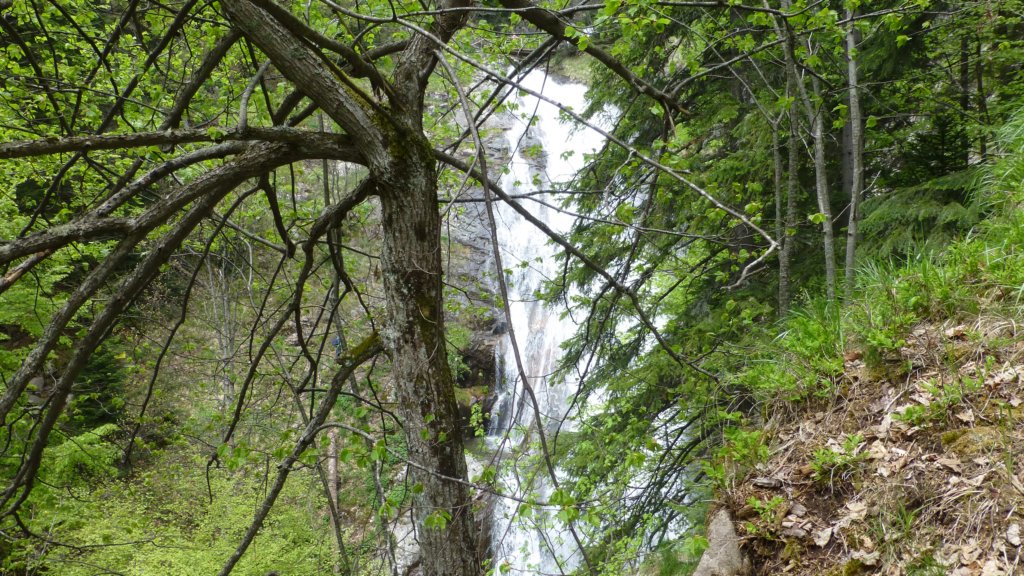 http://www.tonyco.net/pictures/Canyon_Waterfalls_Smolyan_16_05_2015/photo77.jpg