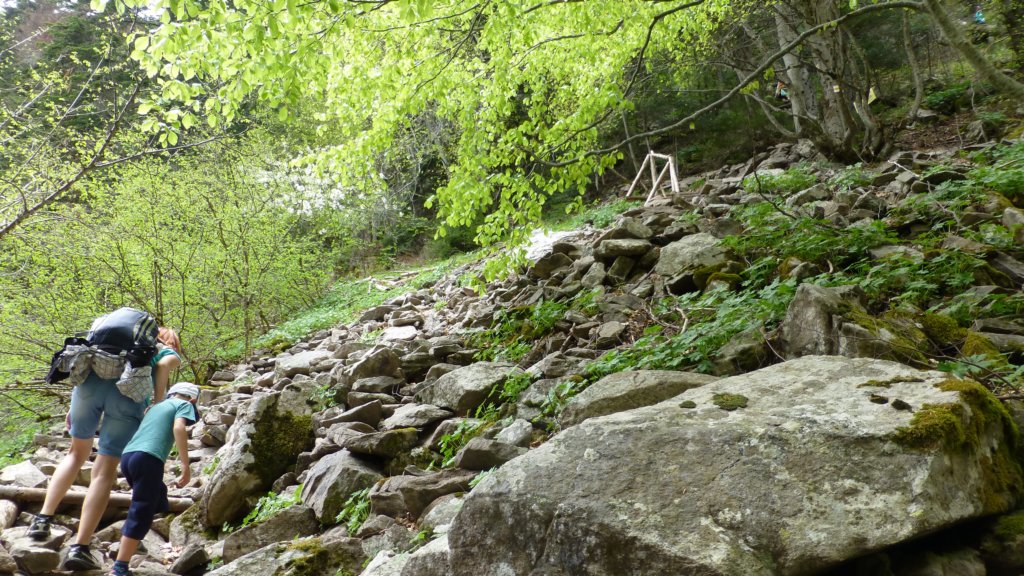 http://www.tonyco.net/pictures/Canyon_Waterfalls_Smolyan_16_05_2015/photo85.jpg