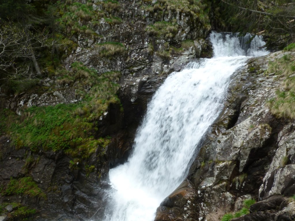 http://www.tonyco.net/pictures/Canyon_Waterfalls_Smolyan_16_05_2015/photo99.jpg