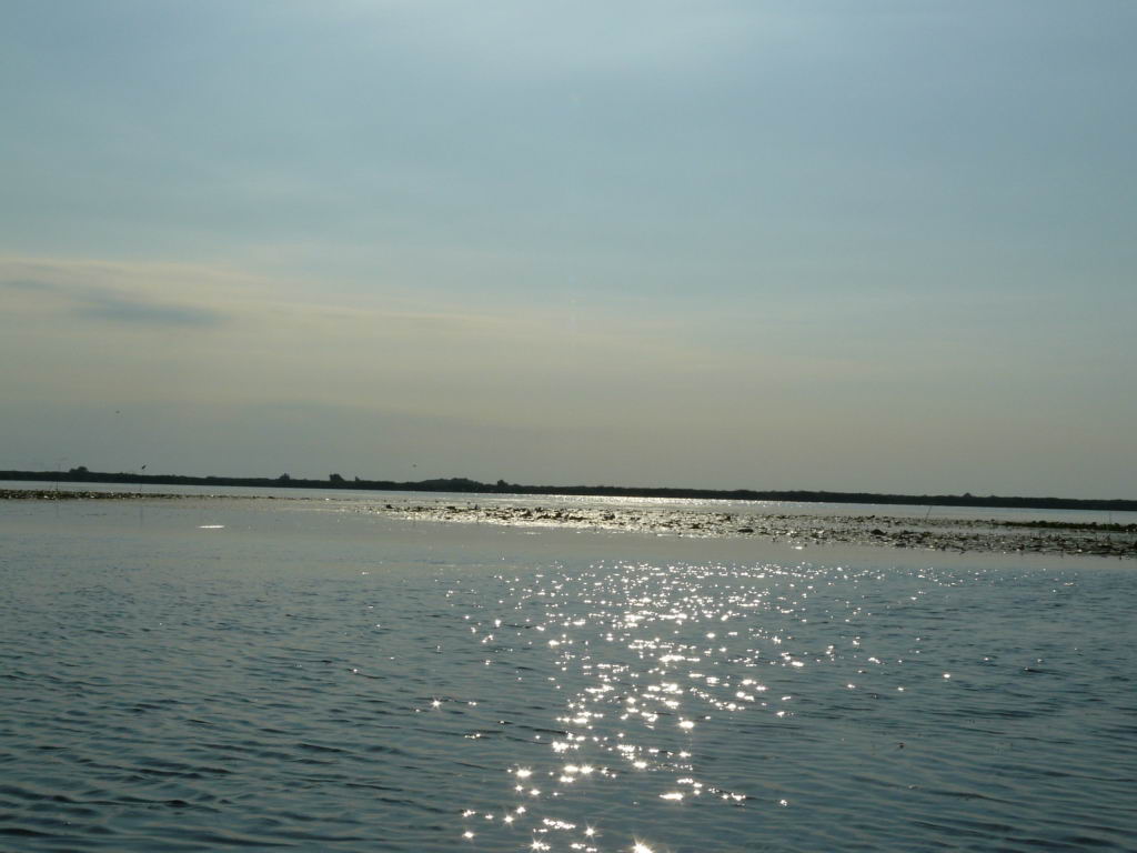 http://www.tonyco.net/pictures/Danube_Delta_26_06_2008/P1030468.JPG