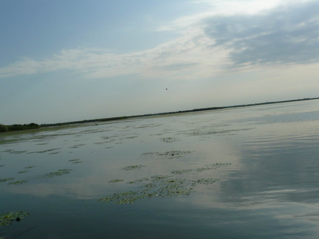 http://www.tonyco.net/pictures/Danube_Delta_26_06_2008/P1030499.JPG