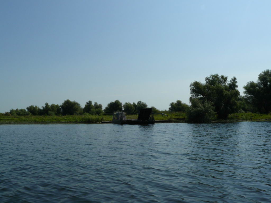 http://www.tonyco.net/pictures/Danube_Delta_26_06_2008/P1030540.JPG