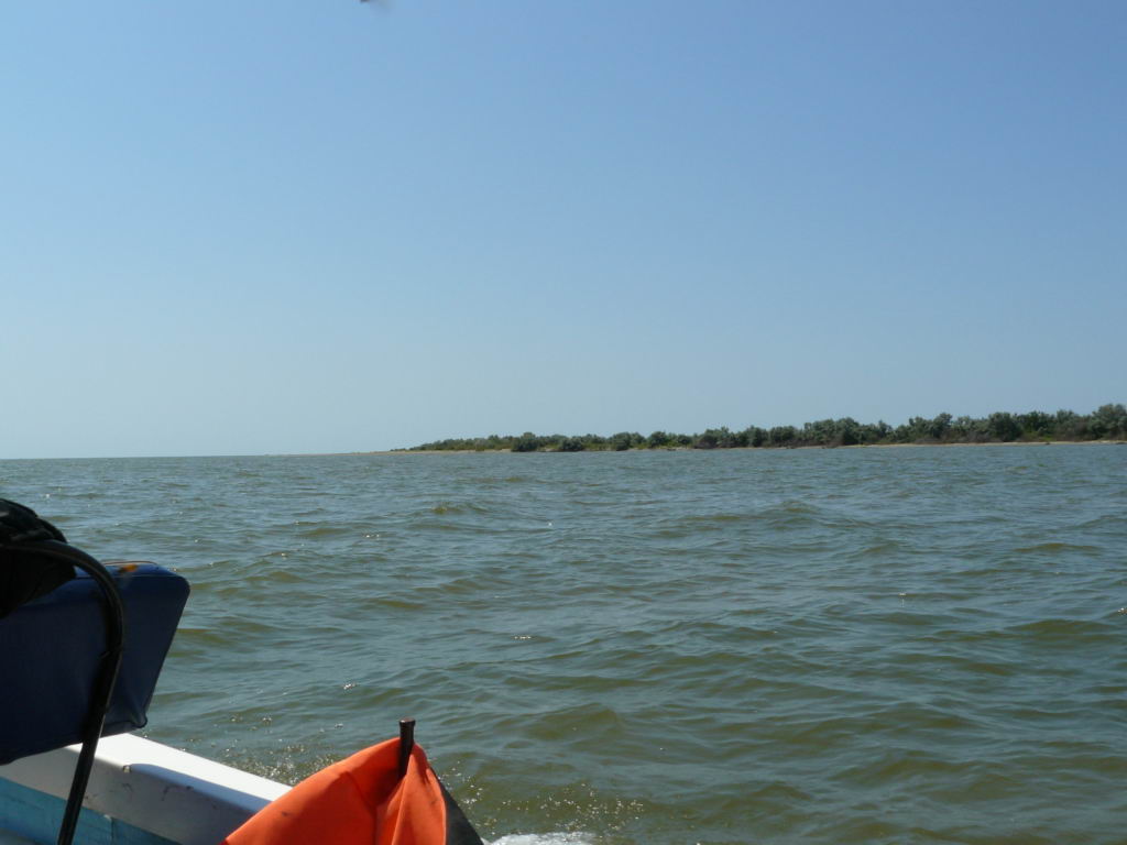 http://www.tonyco.net/pictures/Danube_Delta_26_06_2008/P1030559.JPG