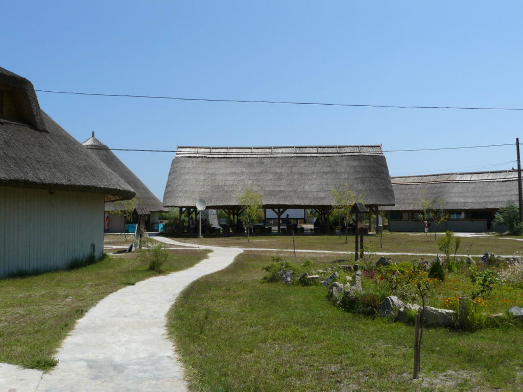 http://www.tonyco.net/pictures/Danube_Delta_26_06_2008/P1030575.JPG