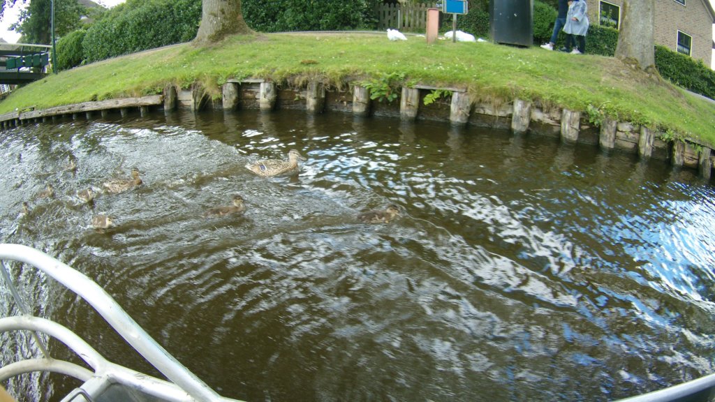 http://www.tonyco.net/pictures/Euro_Trip_2018/Giethoorn/photo15.jpg