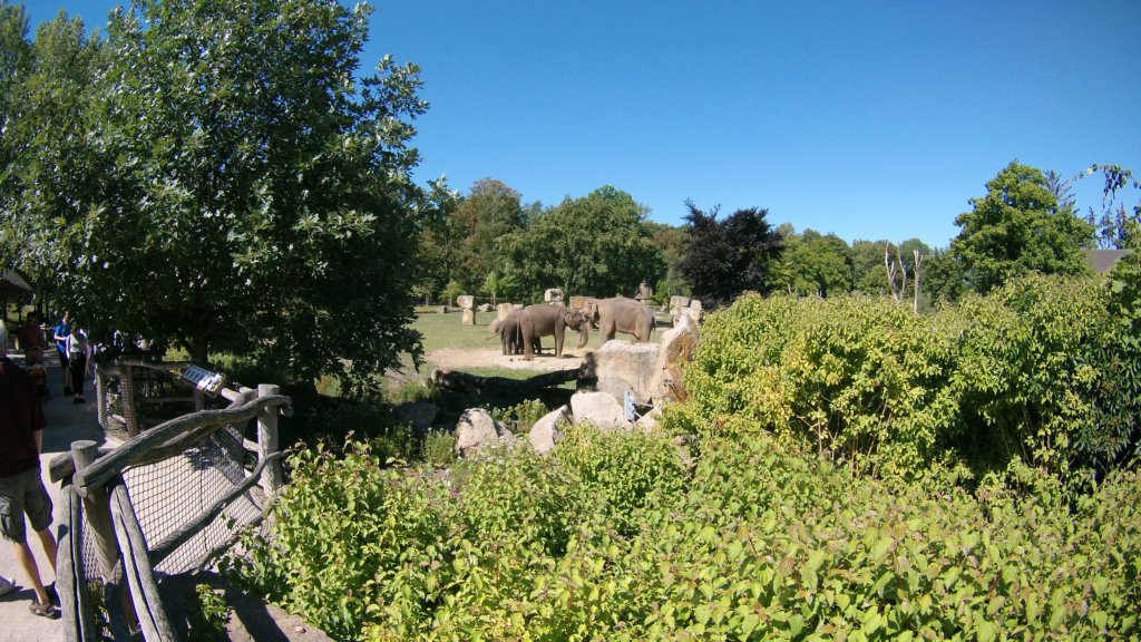 http://www.tonyco.net/pictures/Euro_Trip_2018/Zoo_Prague/photo3.jpg