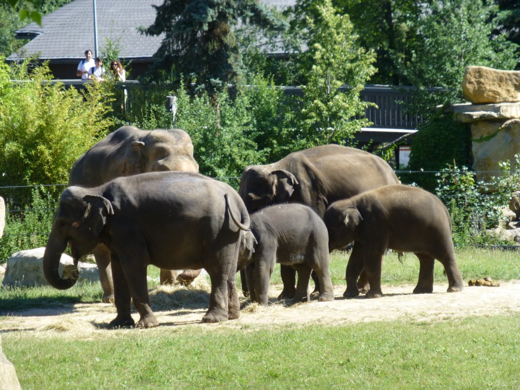 http://www.tonyco.net/pictures/Euro_Trip_2018/Zoo_Prague/photo37.jpg