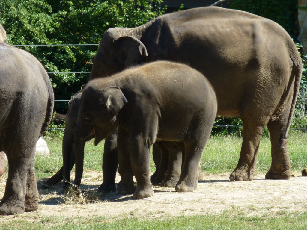 http://www.tonyco.net/pictures/Euro_Trip_2018/Zoo_Prague/photo39.jpg