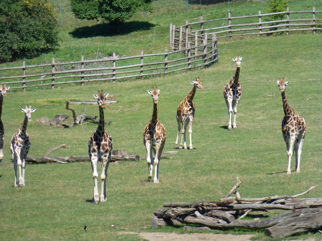 http://www.tonyco.net/pictures/Euro_Trip_2018/Zoo_Prague/photo55.jpg