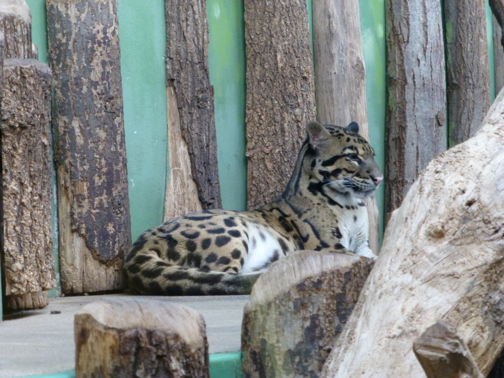 http://www.tonyco.net/pictures/Euro_Trip_2018/Zoo_Prague/photo93.jpg