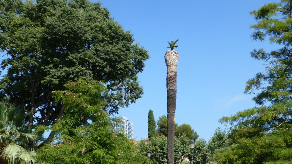 http://www.tonyco.net/pictures/Family_trip_2015/Barcelona/Parc_de_la_Ciutadella/photo20.jpg