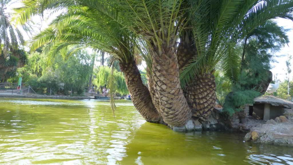 http://www.tonyco.net/pictures/Family_trip_2015/Barcelona/Parc_de_la_Ciutadella/photo25.jpg