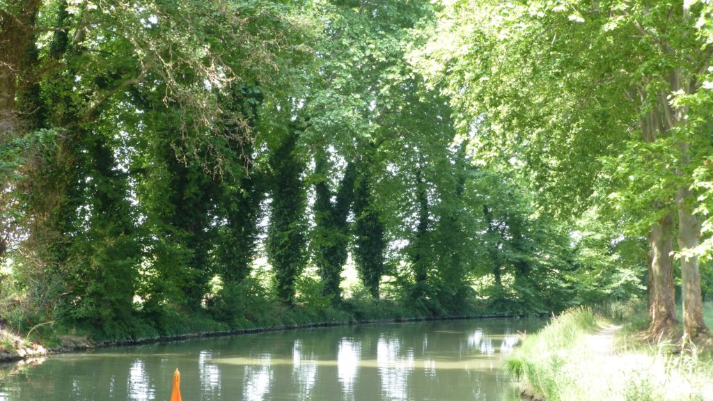 http://www.tonyco.net/pictures/Family_trip_2015/Canal_du_Midi_Beziers/photo30.jpg