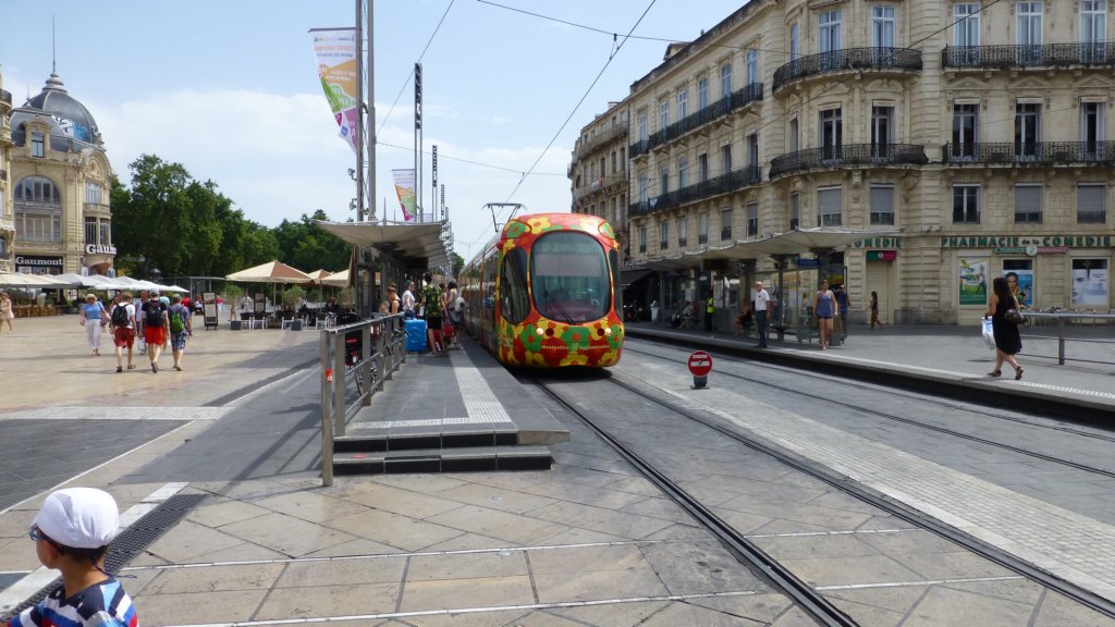 http://www.tonyco.net/pictures/Family_trip_2015/Montpellier/placedelacomedie.jpg