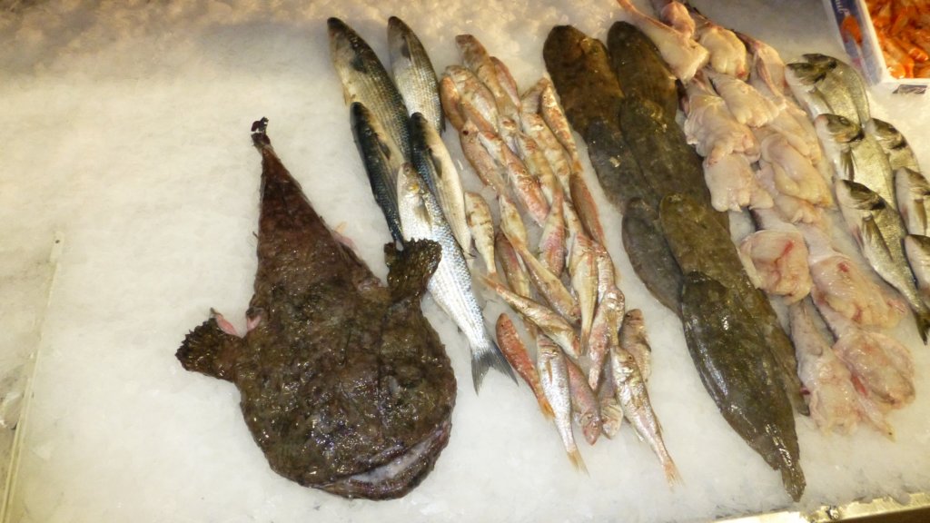 http://www.tonyco.net/pictures/Family_trip_2015/Narbonne/monkfish.jpg