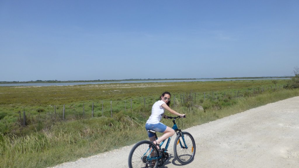 http://www.tonyco.net/pictures/Family_trip_2015/Rhone_River_delta_Camargue/camargue.jpg