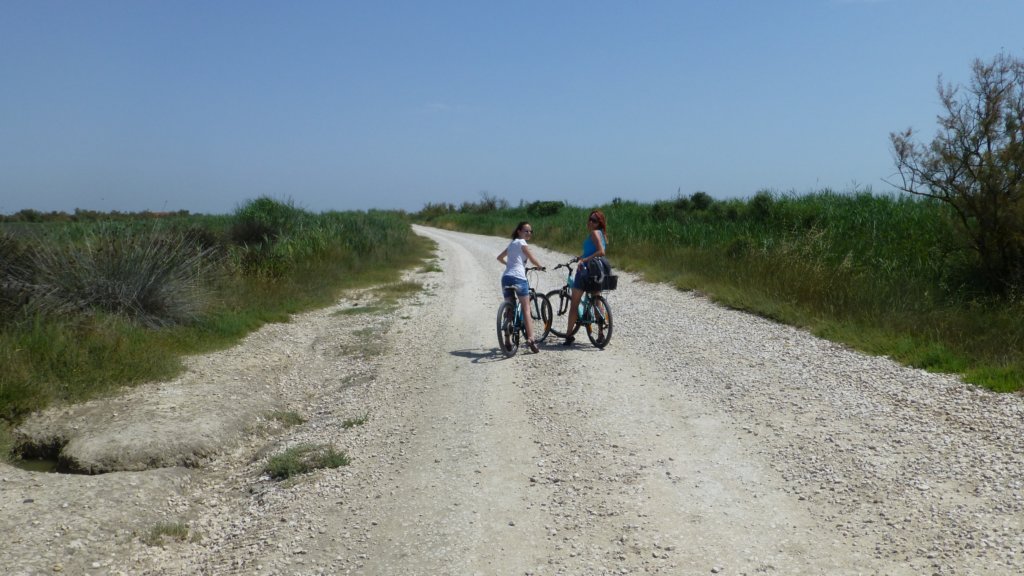 http://www.tonyco.net/pictures/Family_trip_2015/Rhone_River_delta_Camargue/camargue10.jpg