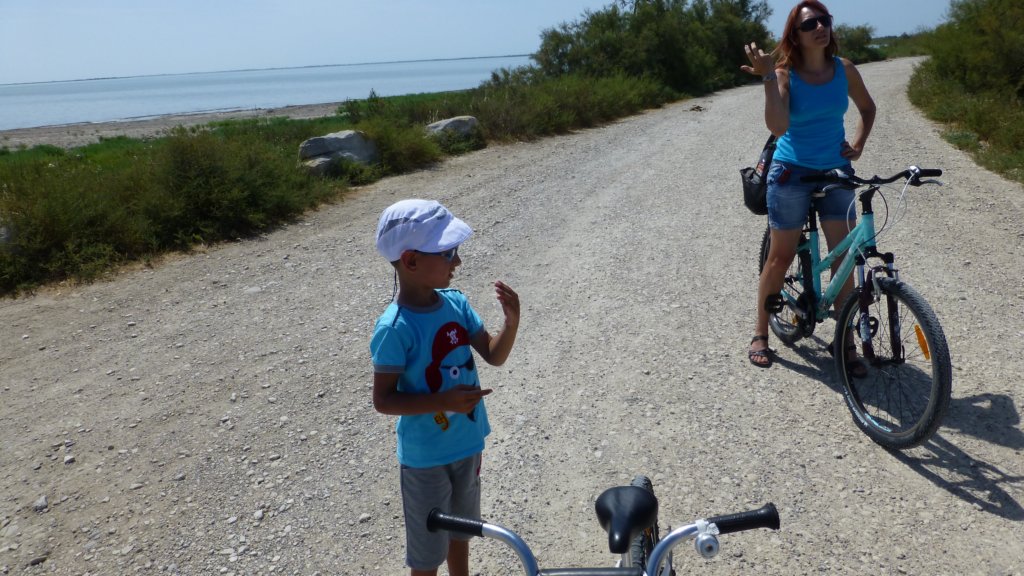 http://www.tonyco.net/pictures/Family_trip_2015/Rhone_River_delta_Camargue/camargue4.jpg