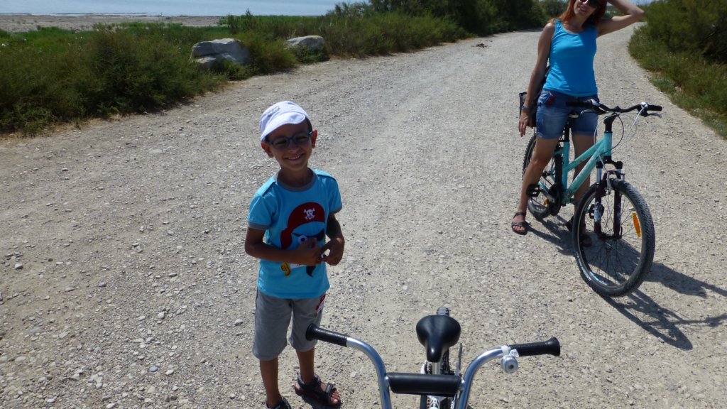 http://www.tonyco.net/pictures/Family_trip_2015/Rhone_River_delta_Camargue/camargue6.jpg