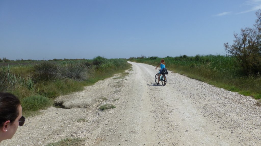 http://www.tonyco.net/pictures/Family_trip_2015/Rhone_River_delta_Camargue/camargue8.jpg