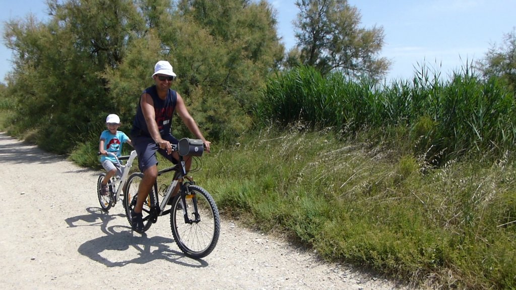 http://www.tonyco.net/pictures/Family_trip_2015/Rhone_River_delta_Camargue/photo21.jpg