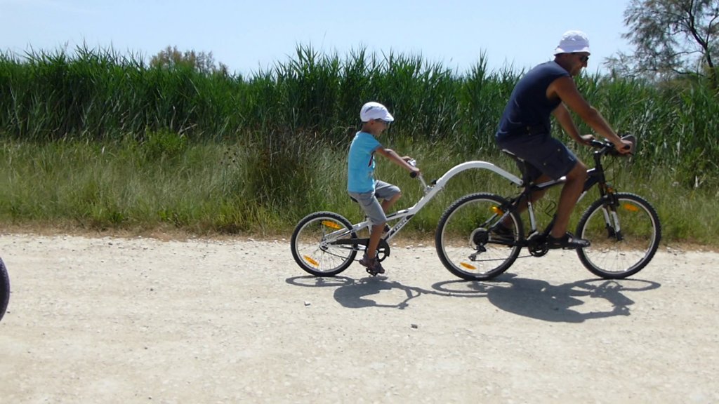 http://www.tonyco.net/pictures/Family_trip_2015/Rhone_River_delta_Camargue/photo25.jpg