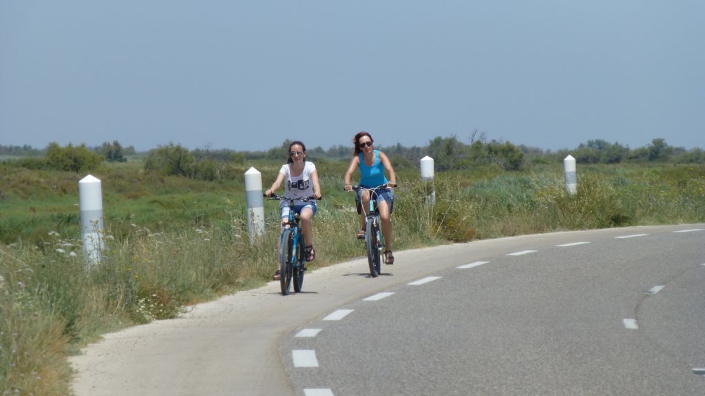 http://www.tonyco.net/pictures/Family_trip_2015/Rhone_River_delta_Camargue/photo38.jpg