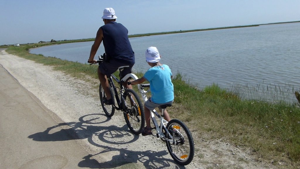 http://www.tonyco.net/pictures/Family_trip_2015/Rhone_River_delta_Camargue/photo8.jpg