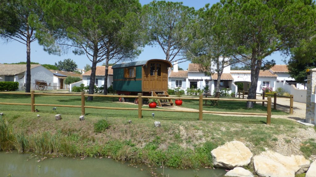 http://www.tonyco.net/pictures/Family_trip_2015/Rhone_River_delta_Camargue/saintesmariesdelamer4.jpg