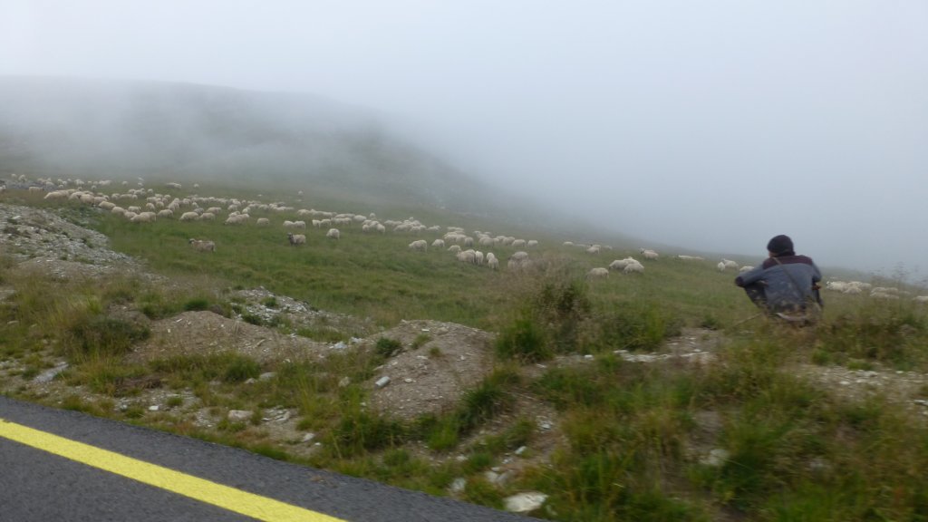 http://www.tonyco.net/pictures/Romania_30_07_2015/transalpina136.jpg