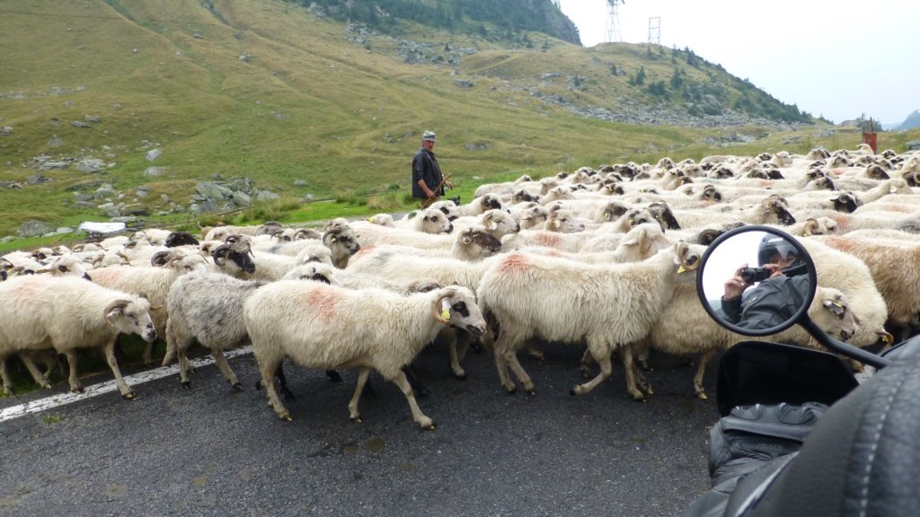 transfagaraan101.jpg