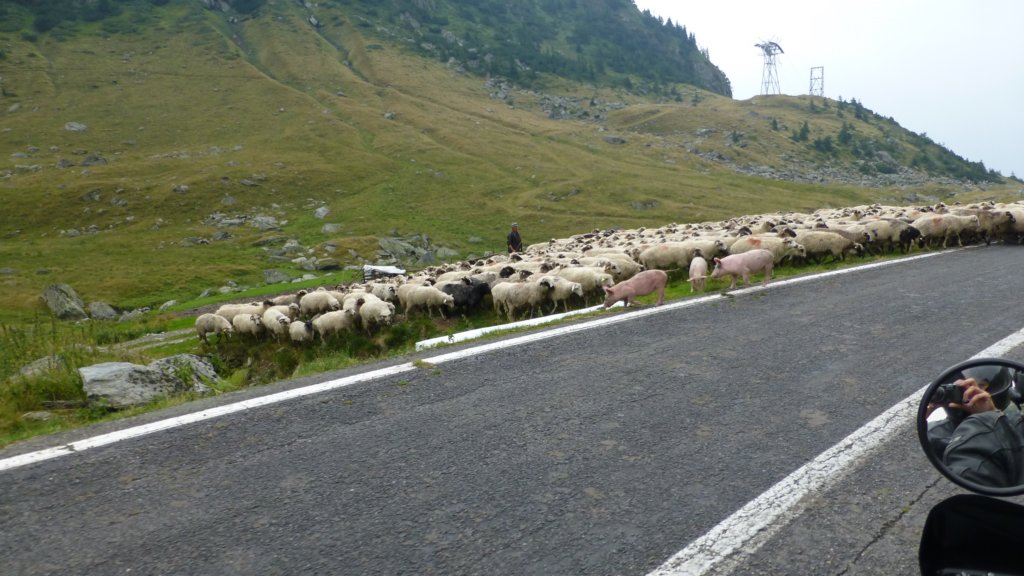 http://www.tonyco.net/pictures/Romania_30_07_2015/transfagaraan98.jpg