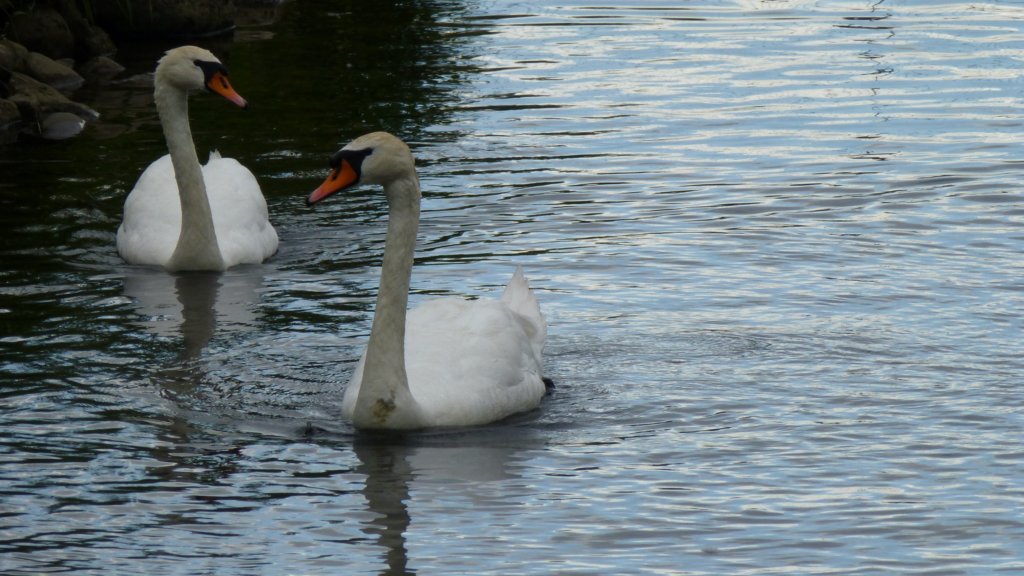 http://www.tonyco.net/pictures/Russia/Moskva/Kolomenskoe/photo26.jpg