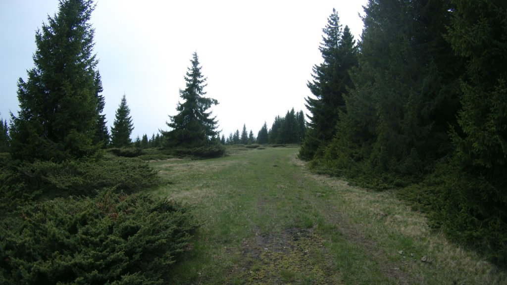 photo107.jpg