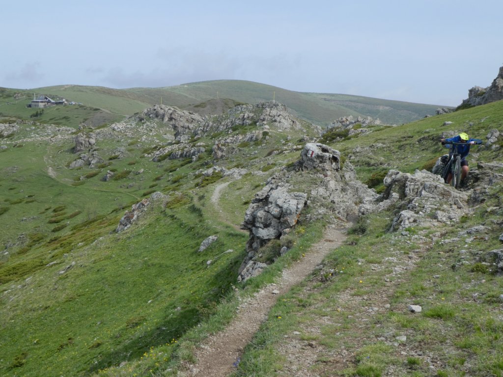 photo25.jpg