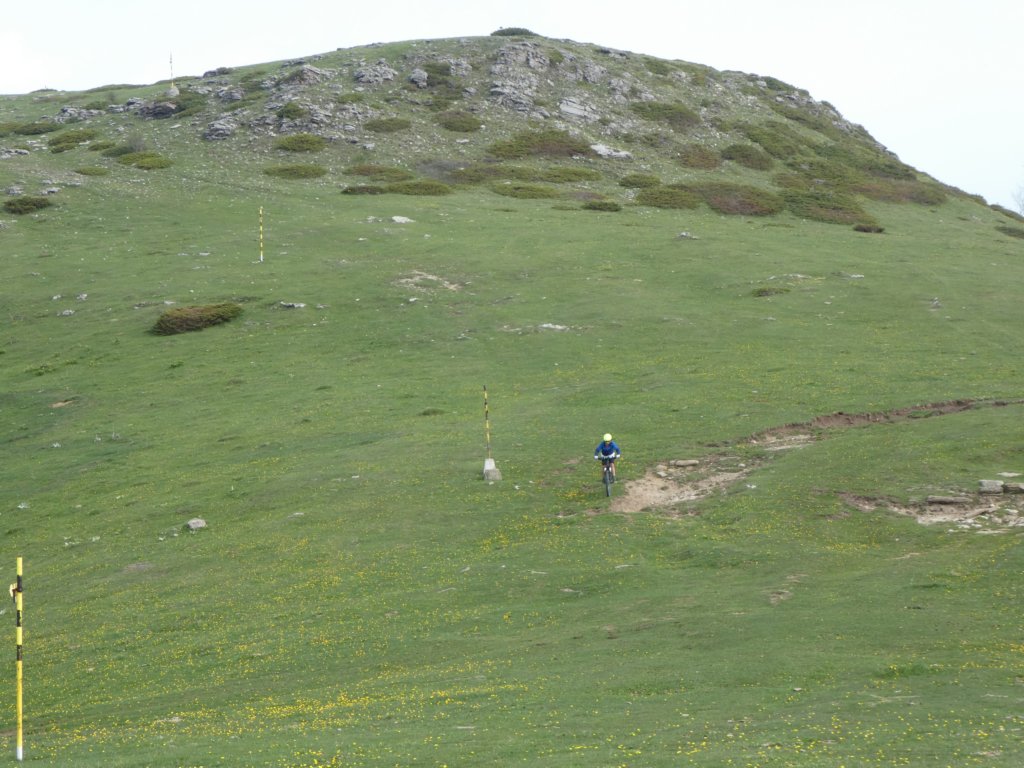 photo29.jpg