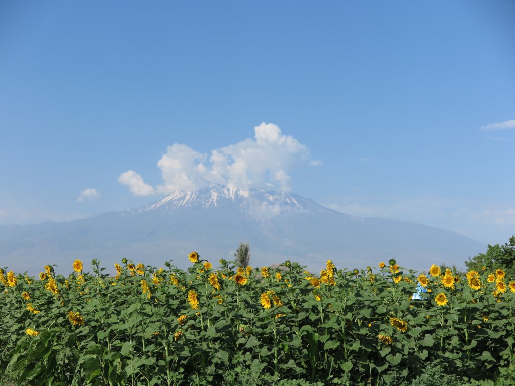 ararat4.jpg