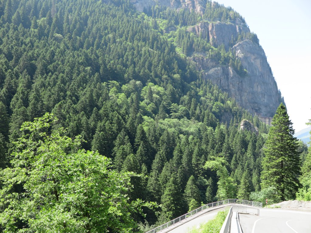 photo14.jpg