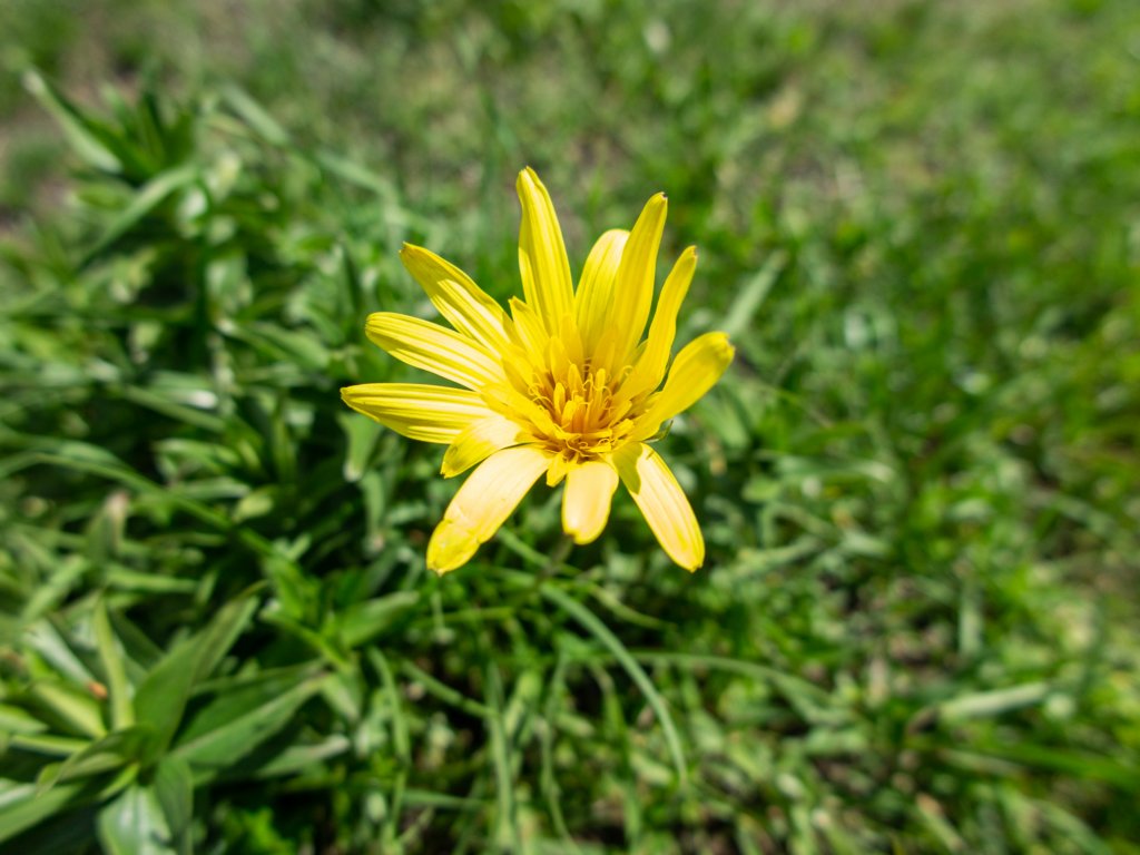 photo75.jpg