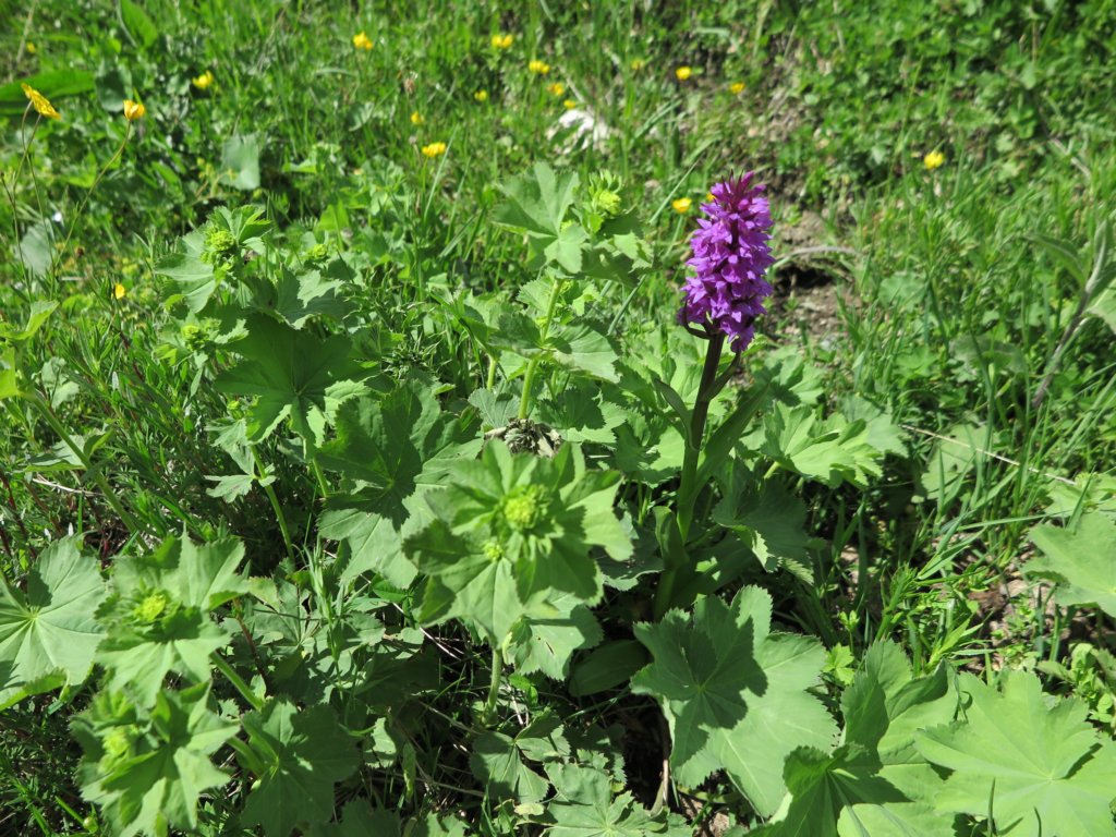 photo79.jpg
