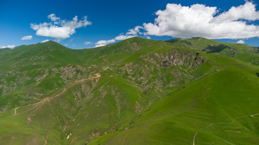 photo6.jpg